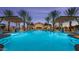 Stunning resort-style pool surrounded by mature palm trees at 2885 N 164Th Dr, Goodyear, AZ 85395