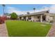 Spacious backyard featuring manicured lawn, covered patio and well-placed shrubbery at 3215 W Phelps Rd, Phoenix, AZ 85053