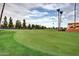 Scenic golf putting green with lush grass, tall palm trees, and clear blue skies at 6202 E Mckellips Rd # 189, Mesa, AZ 85215