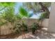 Enclosed backyard with patio and mature landscaping, providing a private outdoor space at 7625 E Camelback Rd # B124, Scottsdale, AZ 85251