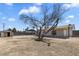 Large backyard with dirt and a bare tree in need of landscaping at 7720 W Indianola Ave, Phoenix, AZ 85033