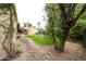 A lush green lawn with a charming rock path defines this backyard, complete with mature trees and a small fountain at 5120 E Janice Way, Scottsdale, AZ 85254