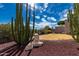 Arizona backyard featuring drought tolerant landscaping, tall cacti, desert plants and decorative fountain at 6043 W Robin Ln, Glendale, AZ 85310