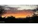 Picturesque sunset view framed by desert foliage, showing vibrant sky colors over the distant mountains at 14253 N Honeysuckle N Dr, Fountain Hills, AZ 85268