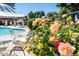 Lush floral landscaping near the community pool creates a welcoming atmosphere for residents at 8107 E Vista Dr, Scottsdale, AZ 85250