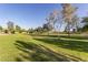 Expansive green lawn with mature trees offers a relaxing community park area for residents to enjoy outdoor activities at 16333 N 181St Ave, Surprise, AZ 85388