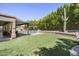 Expansive backyard with a well-maintained pool, artificial turf, and mature trees at 6264 E Omega St, Mesa, AZ 85215