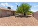 A low-maintenance backyard with desert landscaping and a mature shade tree offers a tranquil outdoor space at 6942 S Championship Dr, Chandler, AZ 85249