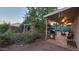 Well-maintained backyard with mature trees and landscaping, featuring a covered patio and grill at 11265 E Contessa St, Mesa, AZ 85207