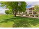 Scenic view of the golf course and community, framed by a large shade tree at 11640 N Tatum Blvd # 1031, Phoenix, AZ 85028