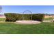 Beautiful green lawn with a circular concrete pad and iron archway enveloped by a manicured privacy hedge at 12335 W Rosewood Ln, Peoria, AZ 85383
