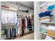 A walk-in closet is organized with shelving and a ladder for reaching high shelves at 26065 N 74Th Dr, Peoria, AZ 85383