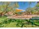 Community playground shaded by trees with benches and green grass at 26065 N 74Th Dr, Peoria, AZ 85383