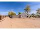 Spacious backyard with block wall and mature trees offers privacy and shade on a sunny day at 28061 N Holly Rd, San Tan Valley, AZ 85143
