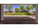 Expansive backyard featuring a brick patio, green lawn, mature trees, and trampoline offering a perfect setting for outdoor enjoyment at 28061 N Holly Rd, San Tan Valley, AZ 85143