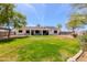 Expansive backyard features a lush lawn, mature trees, and a covered patio area perfect for outdoor entertaining at 28061 N Holly Rd, San Tan Valley, AZ 85143