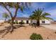 Charming single-story home with a well-manicured front yard and a mature palm tree, offering great curb appeal at 28061 N Holly Rd, San Tan Valley, AZ 85143