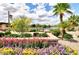 Scenic view of the community lake with lush landscaping and palm trees enhancing the tranquil environment at 4777 S Fulton Ranch Blvd # 1024, Chandler, AZ 85248