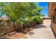 Backyard featuring privacy wall with mature trees and a shaded patio at 6313 E Aire Libre Ln, Scottsdale, AZ 85254