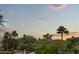 Scenic view of palm trees and lush greenery, showcasing the tropical landscape surrounding the property at 6852 E Fanfol Dr, Paradise Valley, AZ 85253