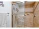 This well-lit shower features tiled walls, glass doors, and grab bars for accessibility at 873 W Sterling Pl, Chandler, AZ 85225