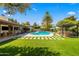 Lush backyard showcasing a sparkling pool, a cozy lounge area, and manicured artificial turf at 8814 N 86Th St, Scottsdale, AZ 85258