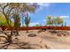 Desert backyard with a firepit, mature cacti, and a trailer against the property's tall stucco perimeter wall at 9137 E Odessa St, Mesa, AZ 85207