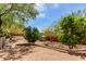 Lush backyard featuring various trees, a small shed, and a block wall along the property line at 9137 E Odessa St, Mesa, AZ 85207