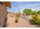 Desert landscape with a variety of cacti and drought-resistant plants, low-maintenance for Arizona living at 10861 E Olla Ave, Mesa, AZ 85212