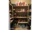 Well-organized pantry with shelving stocked with various food items and storage containers at 1194 E Coyote Creek Way, San Tan Valley, AZ 85143