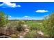Scenic view of a green golf course surrounded by lush desert vegetation and mountain peaks at 20750 N 87Th St # 2038, Scottsdale, AZ 85255