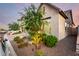 Well-maintained home exterior showcasing lush landscaping and mature trees in the front yard at 21127 W Minnezona Ave, Buckeye, AZ 85396