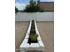 Detailed view of backyard featuring desert landscaping, including agave and various other plants at 3225 E Monica Ave, Phoenix, AZ 85032