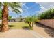Backyard showcasing lush green grass, mature palm trees, and a view of the home's exterior at 4842 W Christine Cir, Glendale, AZ 85308