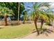 Spacious backyard featuring well-maintained green grass, palm trees, and a tall privacy fence at 4842 W Christine Cir, Glendale, AZ 85308