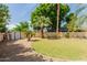 Lush backyard featuring palm trees, green grass, and a storage shed against a privacy fence at 4842 W Christine Cir, Glendale, AZ 85308