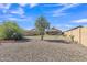 View of the backyard featuring gravel, mature landscaping, and a well-maintained perimeter fence at 12605 W Dreyfus Dr, El Mirage, AZ 85335