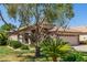 Charming single-story home with a tile roof, manicured lawn, and mature desert landscaping at 1424 W Mead Dr, Chandler, AZ 85248