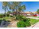 Well-manicured front yard with mature trees, shrubs, and a beautifully landscaped desert garden at 1424 W Mead Dr, Chandler, AZ 85248