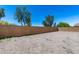 Large, empty backyard with a brick fence offering plenty of space for customization and activities at 20142 N 260Th Dr, Buckeye, AZ 85396