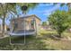 Backyard with green grass, a blue trampoline, and a view of the house and fenced pool area at 2343 E Kempton Rd, Chandler, AZ 85225