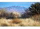 Lush desert landscape with golden grassland set against the backdrop of a majestic mountain range at 24422 N 128Th Way, Scottsdale, AZ 85255