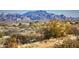 Expansive desert landscape dotted with shrubs, cacti and rugged mountain range in the distance at 24422 N 128Th Way, Scottsdale, AZ 85255