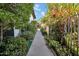 Lush walkway leading to the courtyard gate, lined with vibrant, colorful greenery and plants at 3637 E Monterosa St # 3, Phoenix, AZ 85018