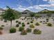 Manicured desert landscaping enhances this home's curb appeal with shrubbery, trees, and gravel at 686 N 152Nd Dr, Goodyear, AZ 85338