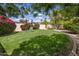 Expansive backyard featuring a lush lawn, blooming bougainvillea, mature trees, and privacy fencing at 7608 E Avalon Dr, Scottsdale, AZ 85251