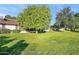 Lush backyard featuring a large shade tree and a well-maintained lawn, perfect for outdoor enjoyment at 9613 W Shasta Dr, Sun City, AZ 85351