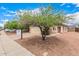 Beautiful single-story home with a tree-shaded front yard and an attached two-car garage at 12132 W Dahlia Dr, El Mirage, AZ 85335