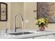 Bright kitchen sink with stainless steel faucet and decorative flower arrangement at 20848 E Desert Hills Blvd, Queen Creek, AZ 85142