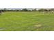 Expansive open field for sports and recreation, surrounded by residential homes and trees, perfect for community activities at 26232 N 121St Ln, Peoria, AZ 85383